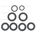 Standard Ignition Fuel Rail O-Ring Kit, Sk56 SK56